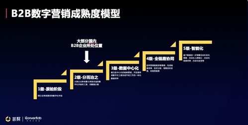 王琤 构建 营 销 服务一体化